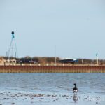 Am Strand von Munkmarsch Am Strand von Munkmarsch