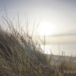 Strand von Wenningstedt Strand von Wenningstedt