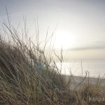 Strand von Wenningstedt Strand von Wenningstedt