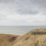 Rantumer Dünen Rantumer Dünen