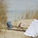 Ein Tag am Meer