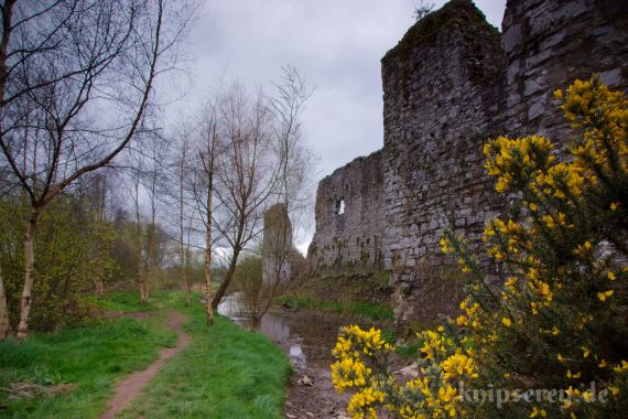Trim Castle