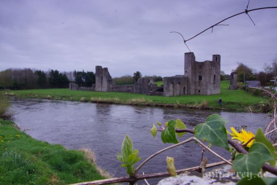 St. John's Priory, Newtown Trim