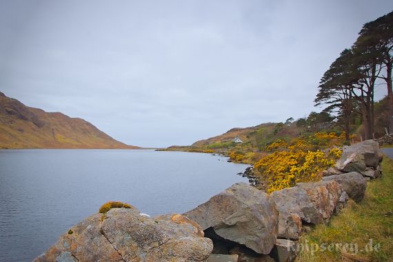 Lough Muck