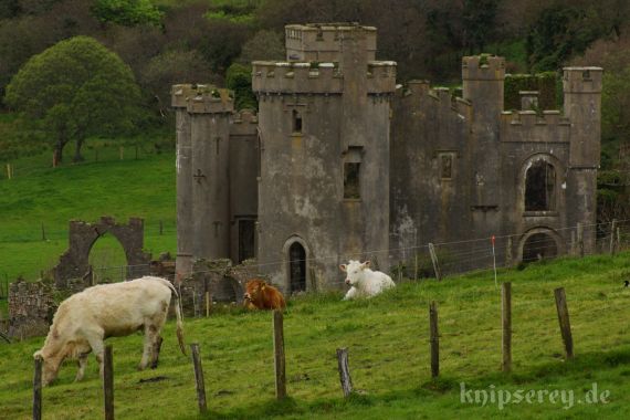 Clifden Castle, County Galway, Connemara