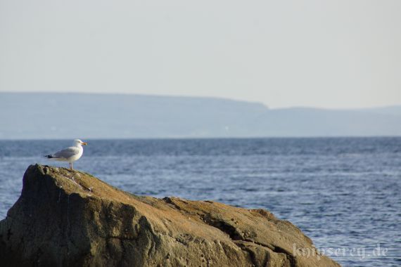 kurze Strand-Pause auf dem Weg nach Galway