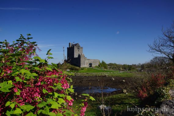 Dunguaire Castle