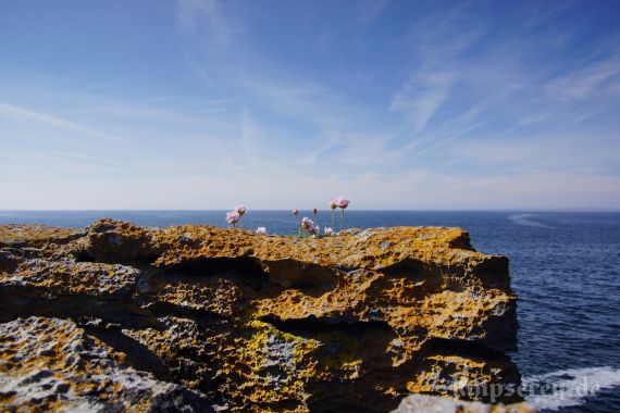 Steilküste, Black Head, County Clare