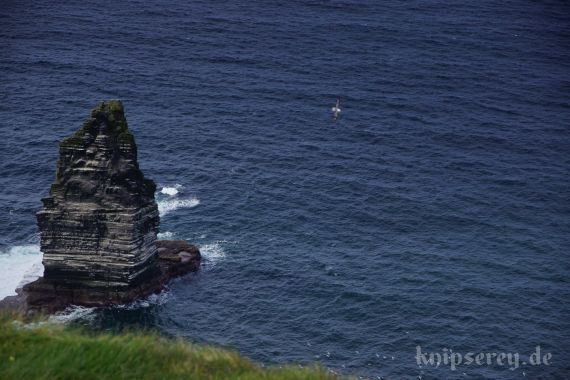 Cliffs of Moher, County Clare