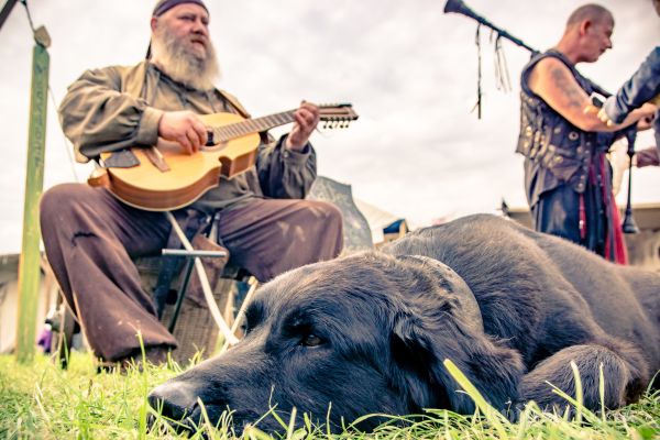 Amo Kreutz mit Robin