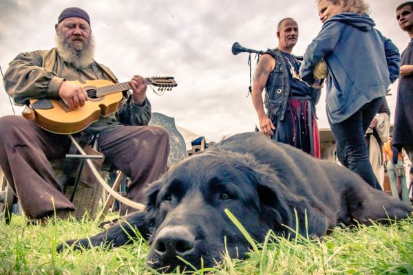 Amo Kreutz mit Robin