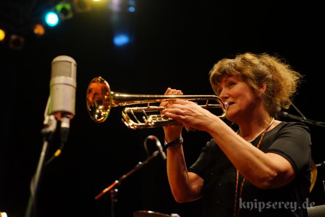 Frode Haltli Avant Folk