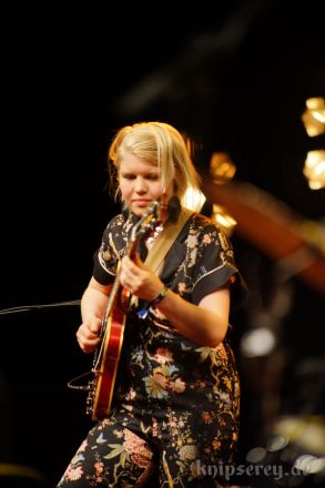 Frode Haltli Avant Folk